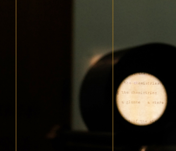 auto_portrait element - bl